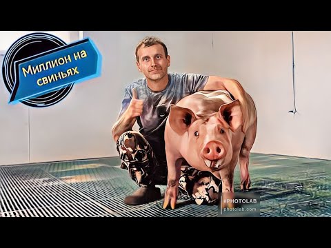 Видео: ‼️Построил идеальный свинарник‼️на щелевых полах‼️за 1600000 т.р‼️2025 г. 