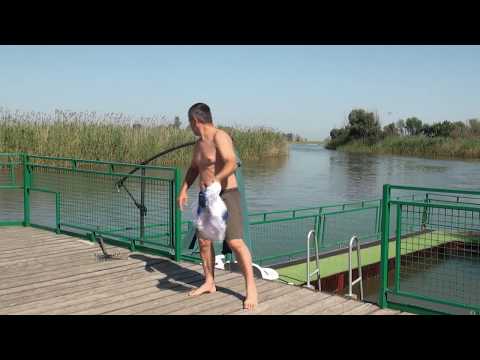 Видео: Подводный мир. За сазаном на нижнюю Волгу – день второй