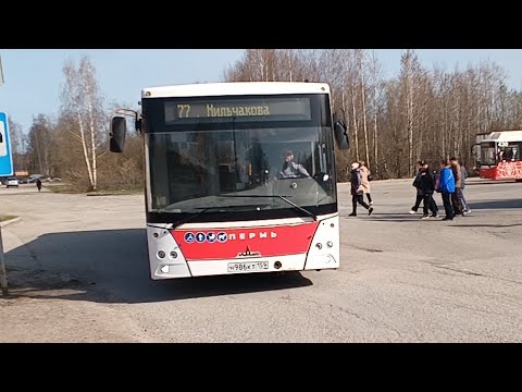 Видео: Пермь. Автобусный маршрут №77 обратно. ул. Памирская — ул. Мильчакова. МАЗ 203.016