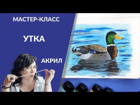 Видео: Как нарисовать утку  Мастер класс для детей  Акрил