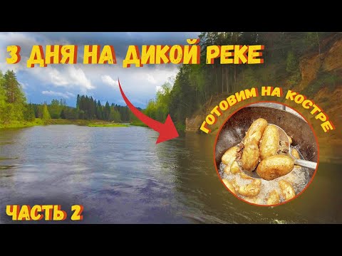 Видео: ЛУЧШИЙ отдых на дикой реке. Готовим в казане на костре. Шашлык в фольге на костре. 2 серия.