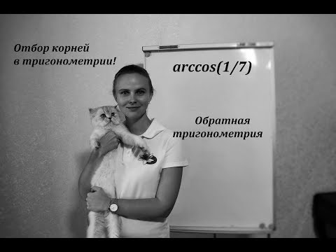 Видео: 2. Отбор корней с арккосинусом (без круга)