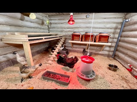 Видео: ЗЫҢ ТАУЫҚ КЕПЕ: КЛИМАТ-КОНТРОЛЬ, АВТОСВЕТ, ВЕНТИЛЯЦИЯ… 🔥 ТАУЫҚ АРМАНЫ!