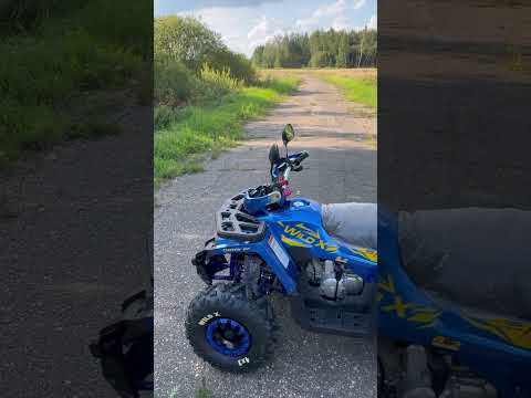 Видео: Большой обзор! Детский квадроцикл Motoland Wild X 125!👍