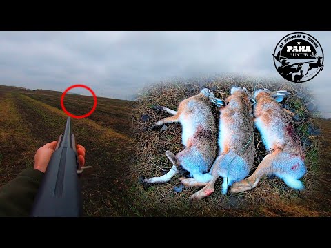 Видео: Охота на зайца. Сезон 2021-2022. Охота по чернотропу. УДАЧНЫЕ поиски зайца в ГРЯЗИ.  Четвертый выход