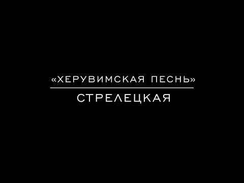 Видео: «Херувимская песнь» Стрелецкая