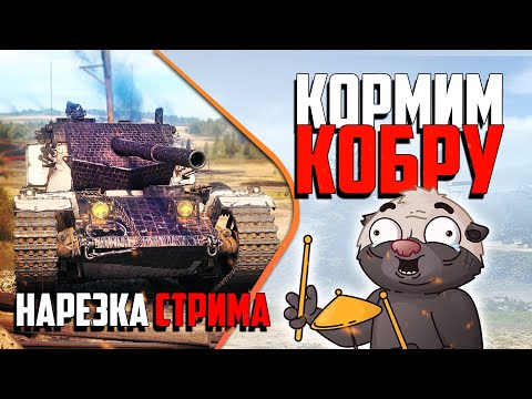 Видео: Нарезка стрима | Обкатка Кобры