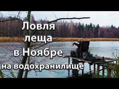 Видео: Ловля леща в Ноябре на водохранилище.