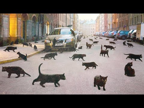 Видео: ФЕНОМЕН БААДЕРА-МАЙНХОФ