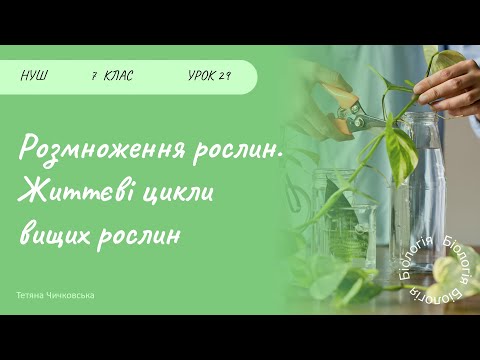 Видео: Розмноження рослин. Життєві цикли вищих рослин