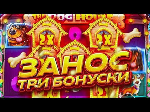 Видео: СЛОВИЛ ЗАНОСНУЮ БОНУСКУ THE DOG HOUSE MEGAWAYS / заносы недели