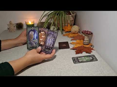 Видео: Интригантства ли? 🤨🥸😲