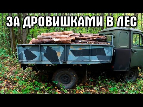 Видео: Поехал за валежником в лес. Новая пила подвела. Старая выручила