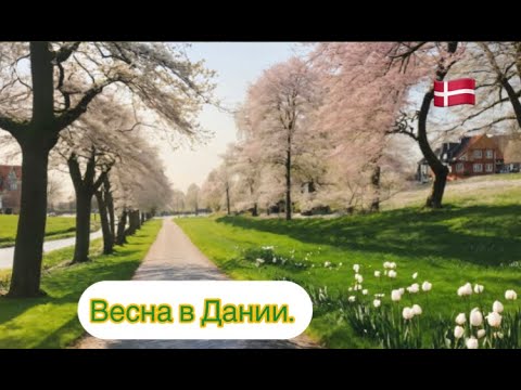 Видео: Датский на слух A2. Весна в Дании. Forår i Danmark.