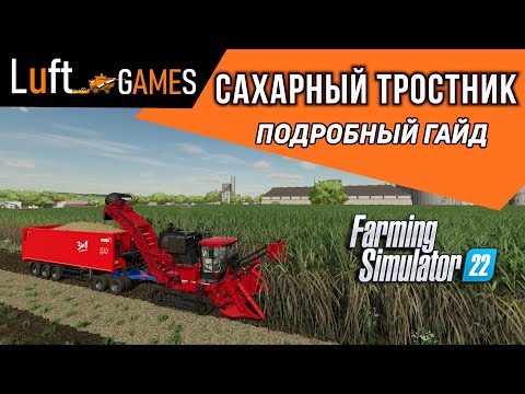 Видео: Сахарный тростник: особенности выращивания и выгода | Farming Simulator 22