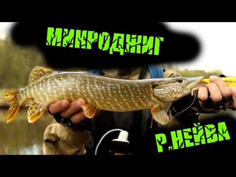 Видео: Рыбалка на реке Нейва. Микроджиг в Мае. Весенние щуки и окуни!