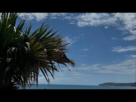 Видео: День в HORIZON RESORT & SPA 5*. Завтрак в отеле. Бассейн шикарен. Ялонг бей, Хайнань. Китай. 