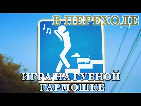 Видео: Игра на губной гармошке в переходе | Playing the harmonica in transition (ENG sub) feat @Harpe..r