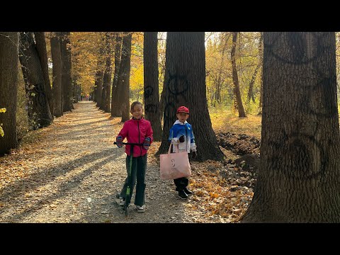 Видео: Слишком красиво, Роща Баума, Алматы 🍁 шикарная природа, мы в восторге осенняя прогулка с детьми ✅
