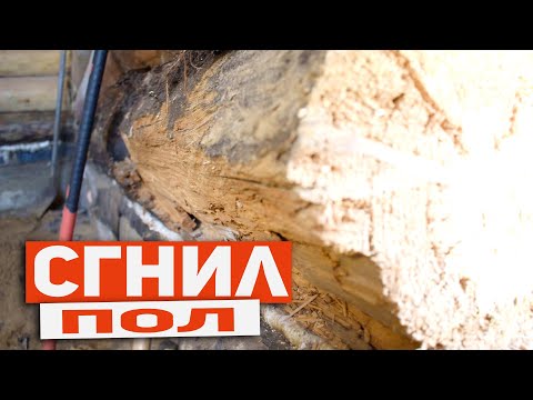 Видео: ПОЧЕМУ СГНИЛ ПОЛ