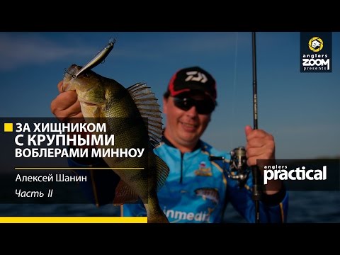 Видео: За хищником с крупными воблерами - минноу. Алексей Шанин. Часть 2. Anglers Practiсal