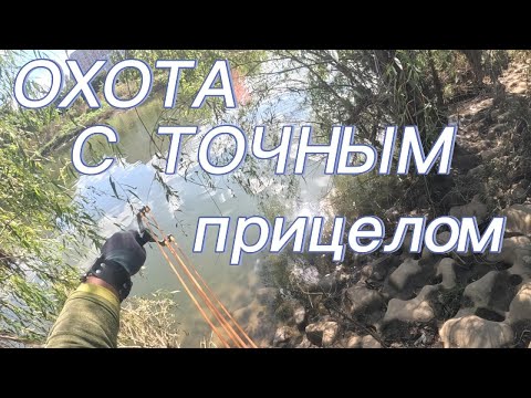 Видео: ОХОТА С ТОЧНЫМ ПРИЦЕЛОМ