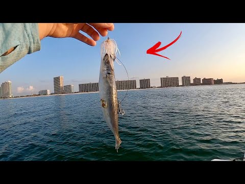 Видео: Троллинг на ПЛЯЖЕ с ОГРОМНЫМИ! Наживками || ВКУСНЕЙШИЙ! Рецепт рыбных ТАКО ||