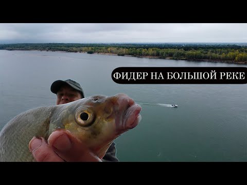 Видео: Лещ и язь на Оби.