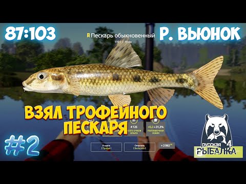 Видео: Русская Рыбалка 4\\ №2: Трофейный пескарь на реке Вьюнок!