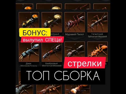 Видео: ЛУЧШИЕ СПЕЦы для СТРЕЛКОВ! Моё мнение! Бонус: вылупился оранж! The Ants: Underground Kingdom