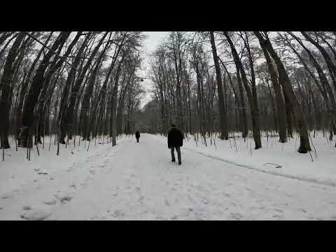 Видео: Зимняя пробежка Москва Измайловский парк