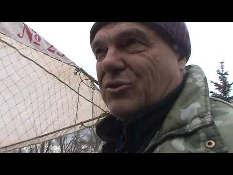 Видео: г.Павлоград. Выставка-ярмарка голубей и птиц, 2часть
