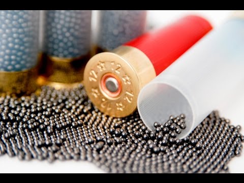 Видео: Утиная дробь.