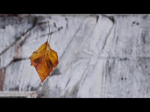 Видео: Л. Афанасьев, Гляжу в озера синие