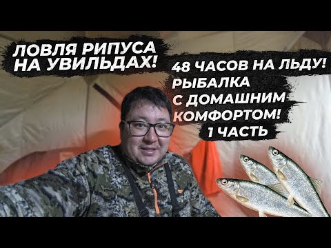 Видео: Ловля рипуса на Увильдах. Рыбалка на рипуса. Рыбалка с домашним комфортом. Поклевки рипуса. Часть 1