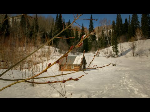 Видео: В ожидании весны