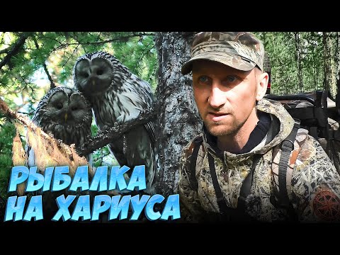 Видео: ПОХОД С НОЧЕВКОЙ В ПАЛАТКЕ НА ТАЁЖНУЮ РЕЧКУ ЗА ХАРИУСОМ.