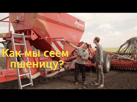 Видео: Как мы СЕЕМ ПШЕНИЦУ⁉️ #сельскоехозяйство  #посевная #агроном #kverneland #мтз #пшеница #колхоз 