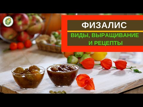 Видео: ФИЗАЛИС - разновидности, выращивание и рецепты//варенье из физалиса