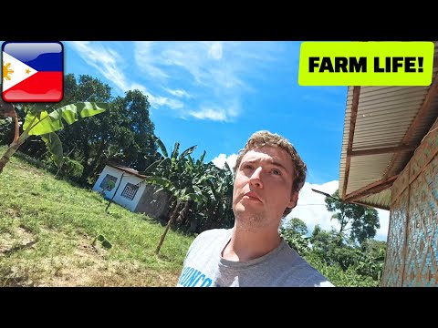 Видео: 🇵🇭 БОЛЬШИЕ ПЕРЕМЕНЫ на ферме провинции Филиппины!