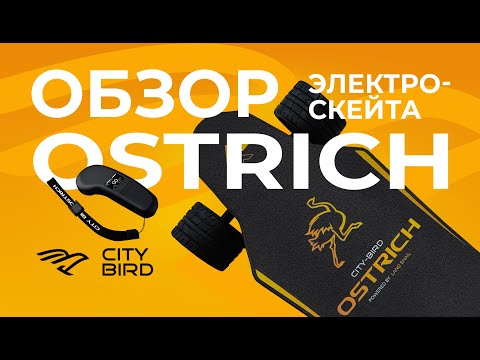 Видео: Распаковка и первый обзор на электроскейт City-Bird OSTRICH