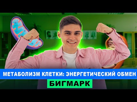 Видео: Метаболизм клетки: Энергетический обмен | Интенсив БигМарк | Марк Ламарк