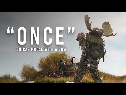 Видео: Однажды — охота на лосей из Шираса