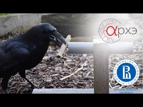 Видео: Зоя Зорина: "О предыстории человеческого разума"