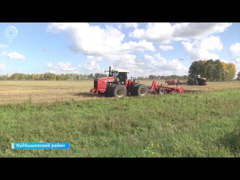 Видео: Напряжённо проходит уборочная кампания в Куйбышевском районе