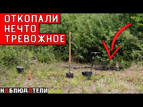 Видео: "У меня никогда не было дела с таким сюжетным поворотом" - цитата прокурора. TRUE CRIME Twisted.