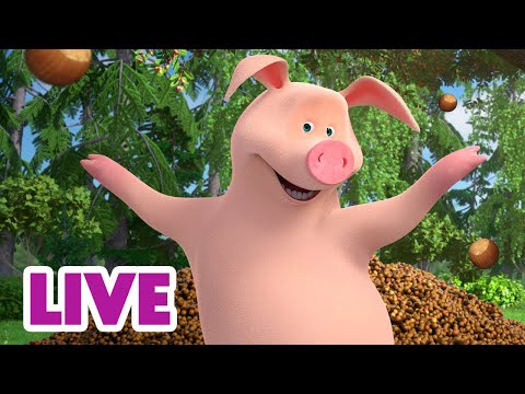 Видео: 🔴 ПРЯМОЙ ЭФИР! LIVE Маша и Медведь 👱‍♀️🐻 Лучшее для Розочки 🐷🤗