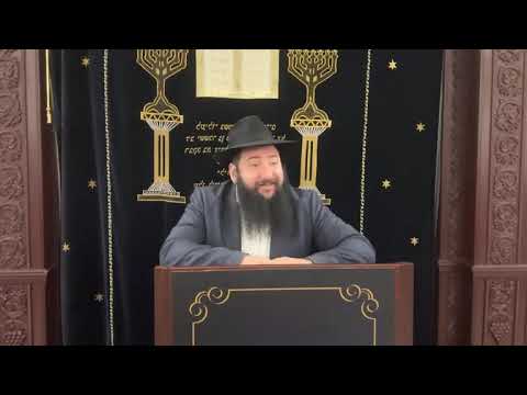 Видео: раввин Фишел Чичельницкий, Недельная глава Ки Теце 5785 г