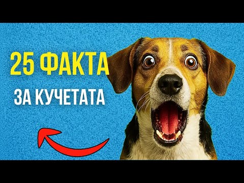 Видео: 25 НЕВЕРОЯТНИ ФАКТА ЗА КУЧЕТАТА!