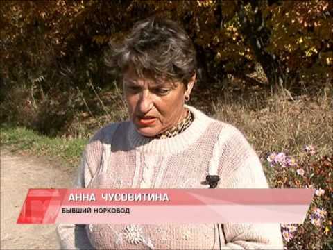 Видео: Карта города   Зверосовхоз